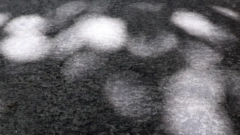 Abstract sunlight and shadow of tree leaves on concrete ground Stock Footage 122234462