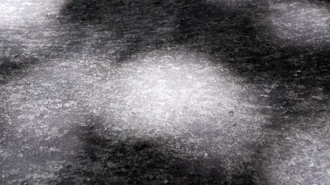Abstract sunlight and shadow of tree leaves on concrete ground Stock Footage 122234924