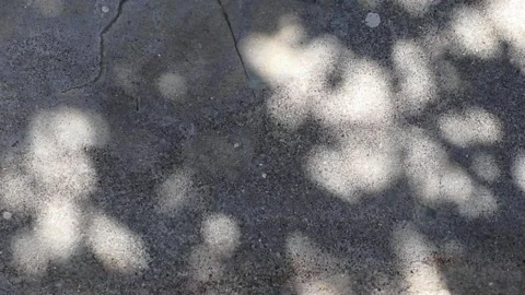 Abstract sunlight and shadow of tree leaves reflected on a concrete ground Stock Footage 162701043