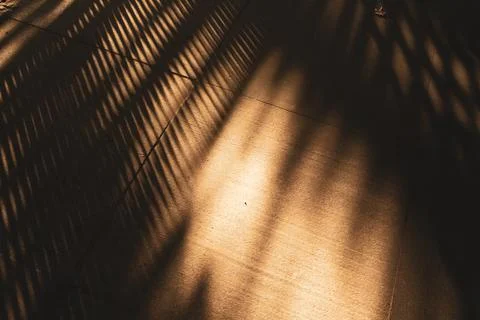 Abstract sunlight and shadows create a dramatic graphic pattern Stock Photos