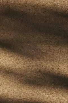 Abstract Sunlight Shadows on Textured Brown Wall Surface for Minimalist Bac.. Stock Photos