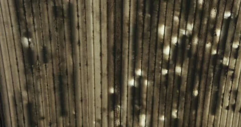 Abstract - sunlight shining behind old polycarbonate roof boards with holes Stock-Footage 205542345