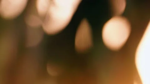 Abstract Sunlight Through Leaves Out of Focus. Stock Footage 49928548
