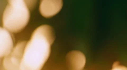 Abstract Sunlight Through Leaves Panning Right. Stock Footage 49928479
