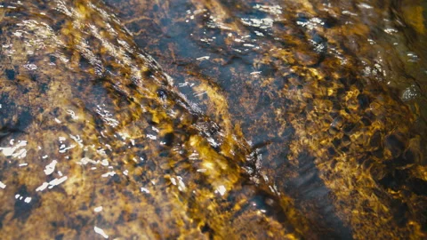 Abstract Sunlit Mountain Stream Flowing Over Patterned Bedrock Stock Footage 341071297