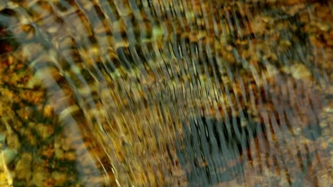 Abstract Sunlit Ripples Creating Dynamic Patterns on Streambed 스톡 동영상 336522050
