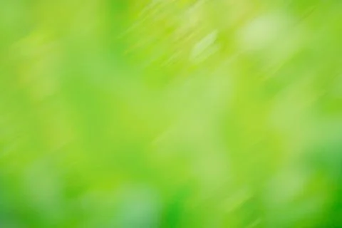 Abstract sunny spring defocused background. Green defocused bokeh abstract sp 스톡 사진