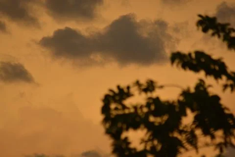 Abstract Sunset Sky with Blurred Tree Bokeh Stock Photos