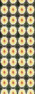 Abstract super cute and nice interesting picture Illustrazione stock