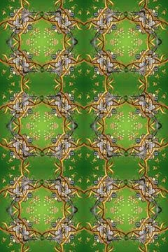 Abstract super cute and nice interesting picture 库存插图