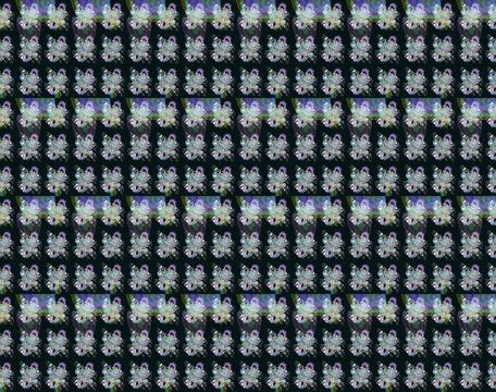 Abstract super cute and nice interesting picture Stock-Fotos