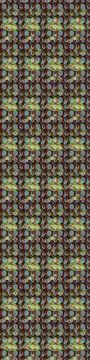 Abstract super cute and nice interesting picture Stock Photos