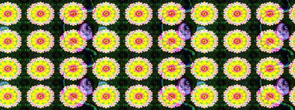 Abstract super cute and nice interesting picture Stock Photos