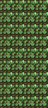 Abstract super cute and nice interesting picture Stock Photos
