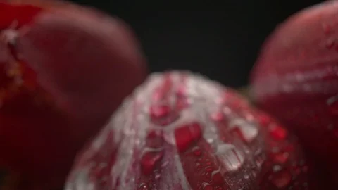 Abstract super macro flower with drops Stock Footage 107828323