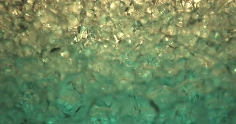 Abstract super macro of oil bubbles in liquid Stock-Footage 156029363