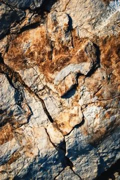 Abstract surface of an ancient rock limestone Stock Photos