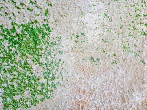 Abstract surface as green paint peeling off a concrete wall background. Old g Stock Photos