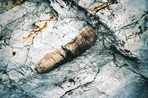 Abstract surface limestone with rocks Stock Photos