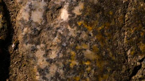 Abstract surface Stock Photos