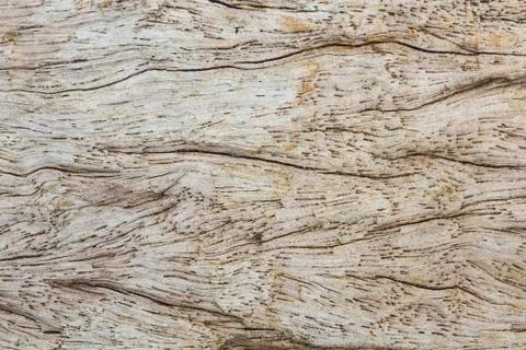 Abstract surface wood table texture background. Close up of dark rustic wall  Stock Photos