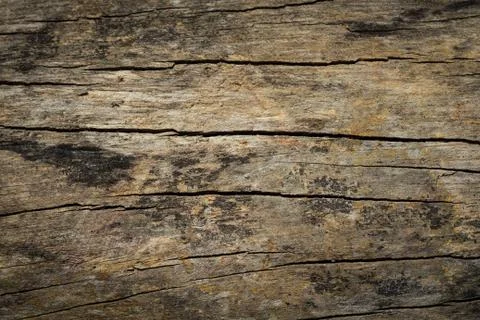 Abstract surface wood table texture background. Close up of dark rustic wall  Stock Photos