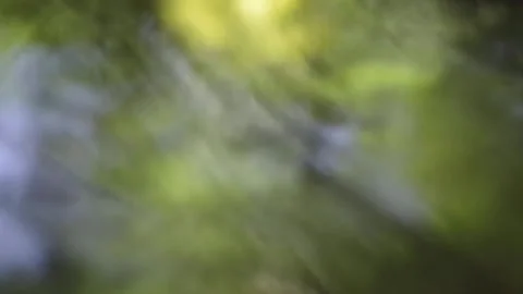 Abstract surreal flowing forest stream Stock Footage 136858436