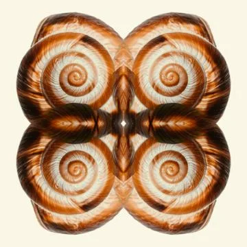 Abstract surreal snail shell pattern in beige color. Geometric shell pattern Stock Photos