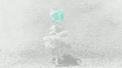 Abstract Surreal Tree with Glowing Teal Sphere 스톡 동영상 331049559