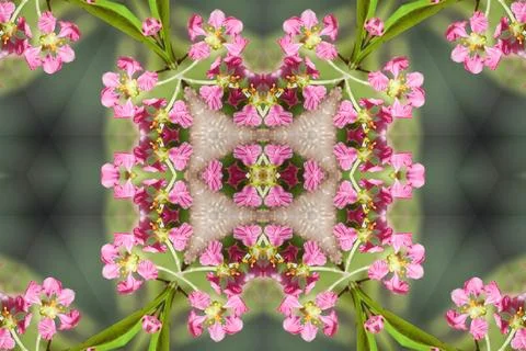 Abstract surreality pattern kaleidoscope texture background 写真素材
