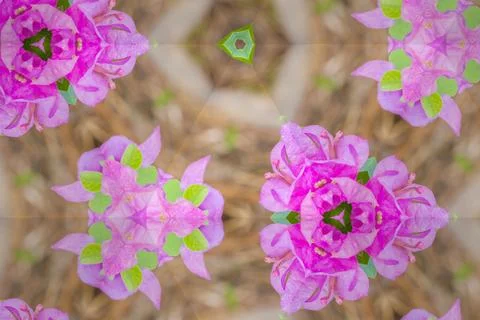 Abstract surreality pattern kaleidoscope texture background 写真素材