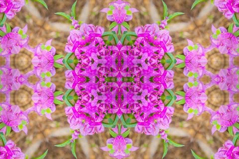 Abstract surreality pattern kaleidoscope texture background Stock Photos