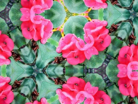 Abstract surreality pattern kaleidoscope texture background 写真素材