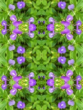 Abstract surreality pattern kaleidoscope texture background 스톡 사진