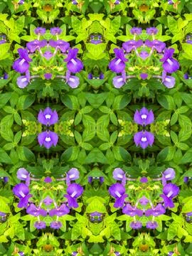 Abstract surreality pattern kaleidoscope texture background Foto stock