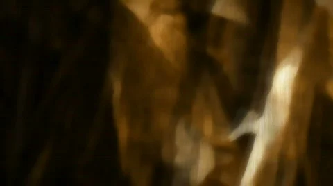 Abstract Swaying Leaves Loop Stock Footage 840334