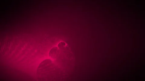 Abstract swirl pattern Magenta red hi-tech futuristic dots abstract background Stock Footage 296055889