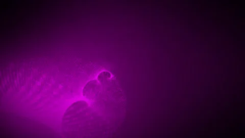 Abstract swirl pattern Pink hi-tech futuristic dots abstract background Stock Footage 296055912