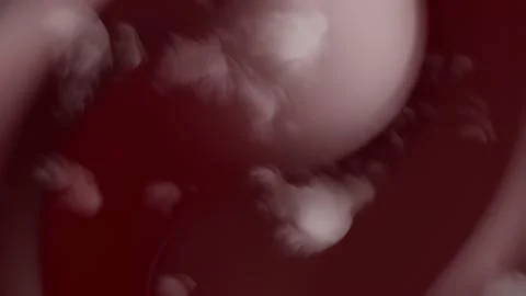 Abstract swirling patterns of light and dark hues. 스톡 사진