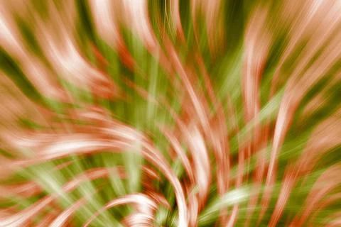 Abstract swirly pattern background illustration Abstract red and green swi... Foto stock