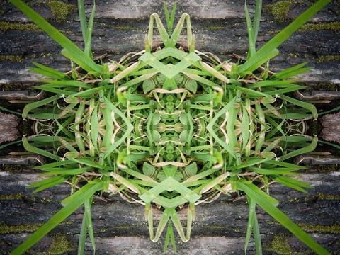 Abstract symmetric pattern of fishnet and fishing lines Foto stock