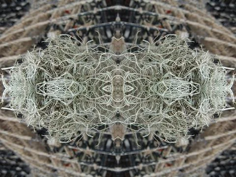 Abstract symmetric pattern of fishnet and fishing lines Foto stock