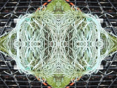 Abstract symmetric pattern of fishnet and fishing lines Foto stock