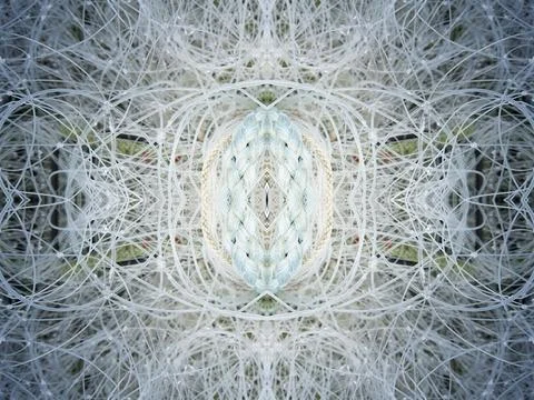 Abstract symmetric pattern of fishnet and fishing lines Foto stock