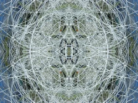 Abstract symmetric pattern of fishnet and fishing lines Foto stock