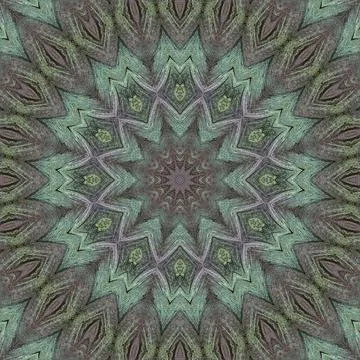 Abstract symmetric pattern of a peacock's feathers. The image has a mirror ef Stock Illustration