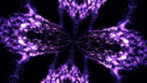 Abstract symmetric pattern of purple feathers on black background, seamless loop Stock Footage 101649272