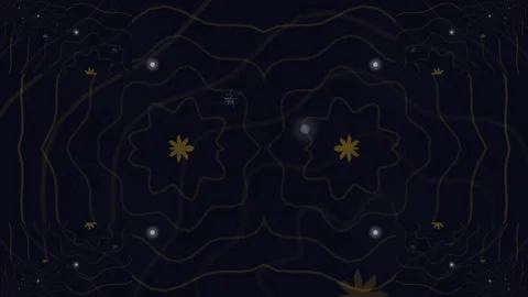 Abstract Symmetrical Dark Background with Golden Wavy Lines and Glowing Nodes Stock Footage 334863372