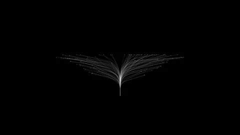 Abstract Symmetrical Line Art with Dark Background and Delicate Pattern Stock Footage 341780334