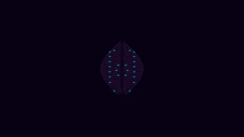 Abstract symmetrical pattern of glowing blue and red lines on black background Video stock 335118118